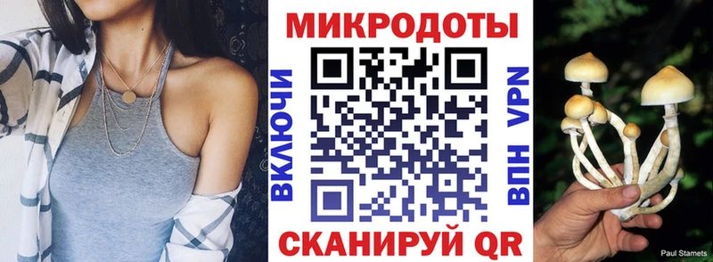 что такое   Первомайск  Псилоцибиновые грибы прущие грибы 